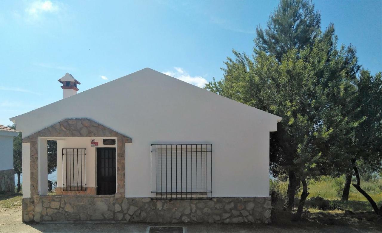 Magina Dream La Guardia